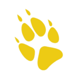 logo behawiorysta katowice, dla którego powstała strona www wykonana przez netografia.pl